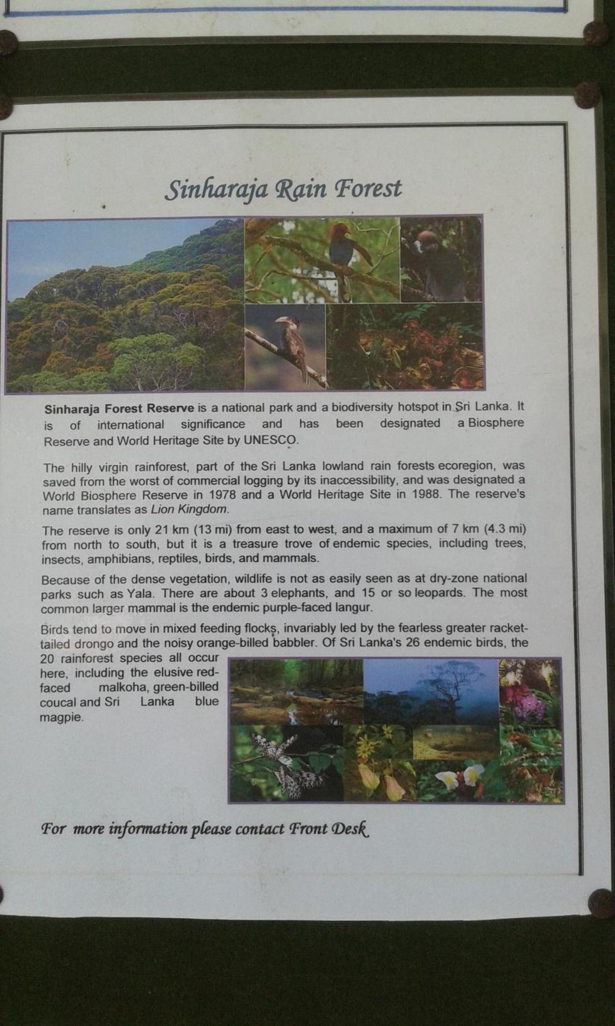 Kaween Homestay Weligama Exterior foto